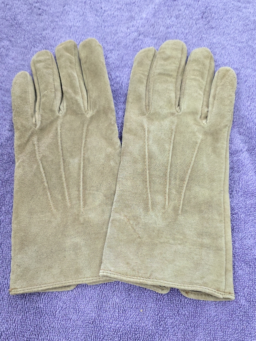 Aris Women's Suede Gloves in Taupe